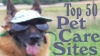 Top 100 pet service sites, please vote for our site! CLICK now!